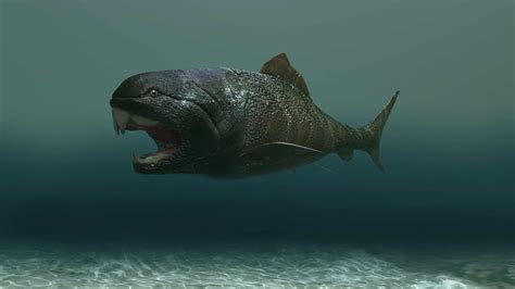 dunkleosteus vivo